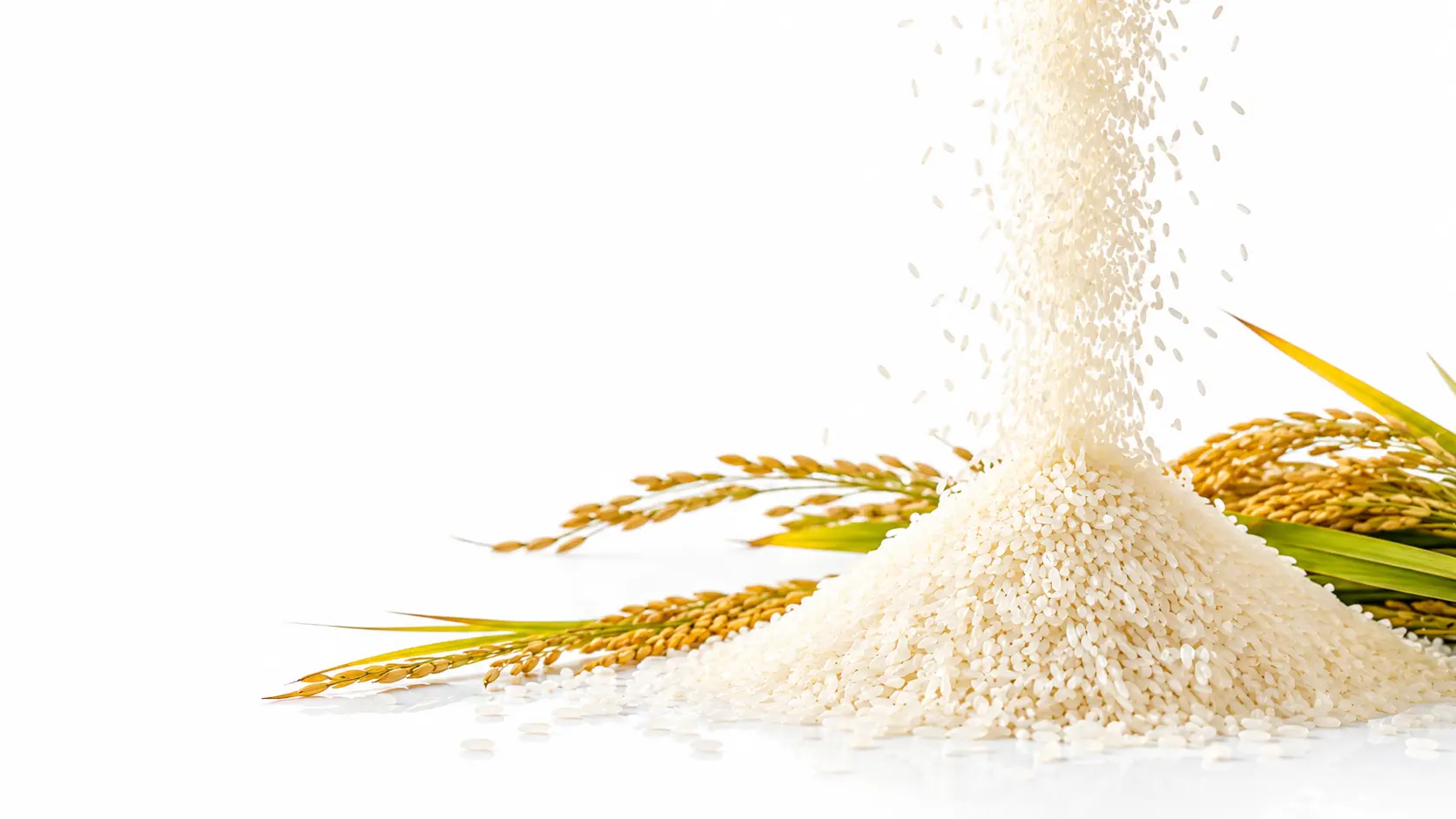 Premium HMT Rice